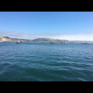 Meet your Posher, Carolina